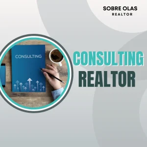 Consulting Realtor in Miami